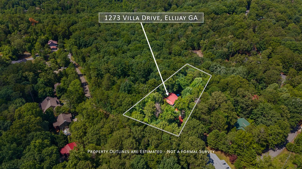 432823 Ellijay Active