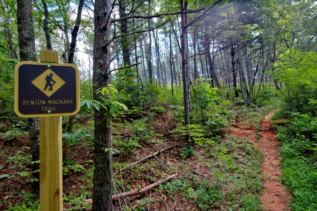 432825 Morganton Active