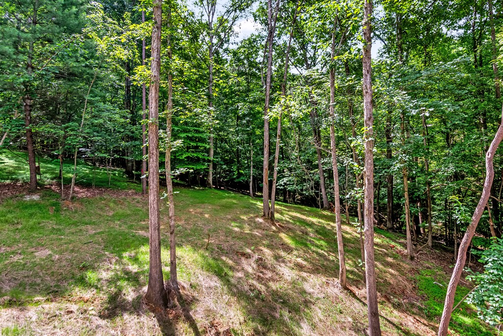 432829 Ellijay Active