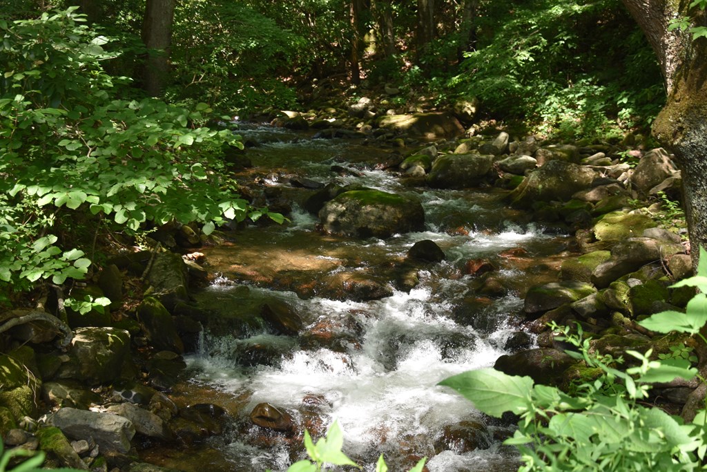 432834 Hayesville
 Land