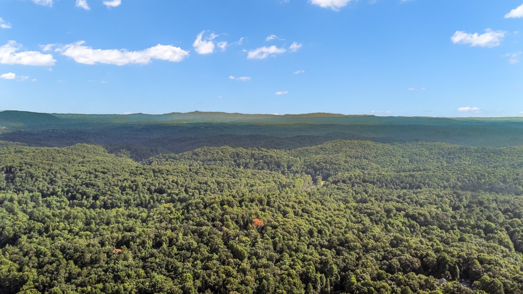 432838 Ellijay Active