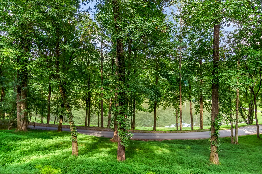 432838 Ellijay Active