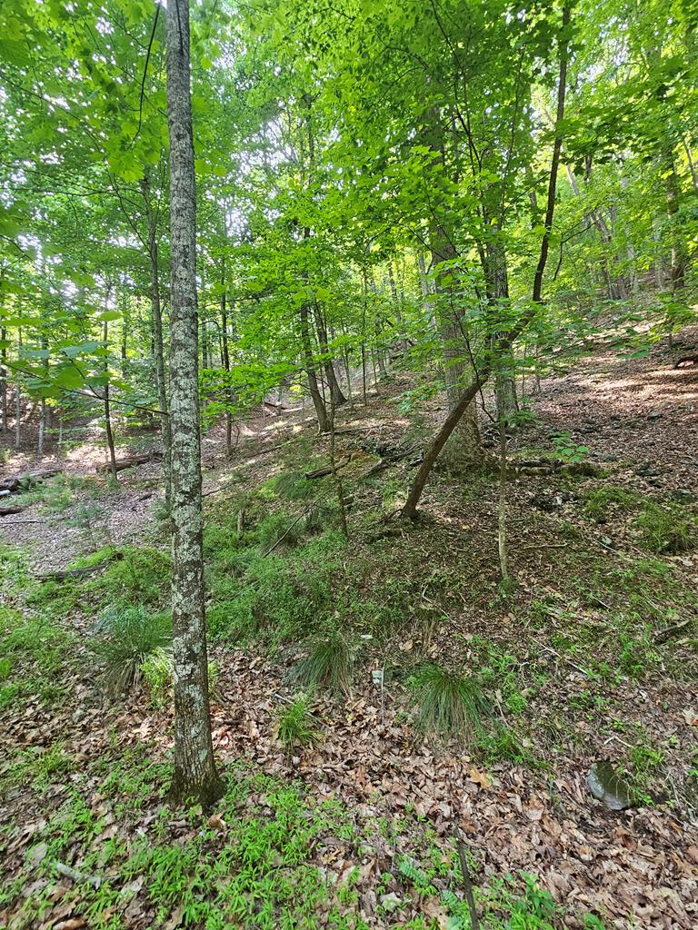 432842  Land