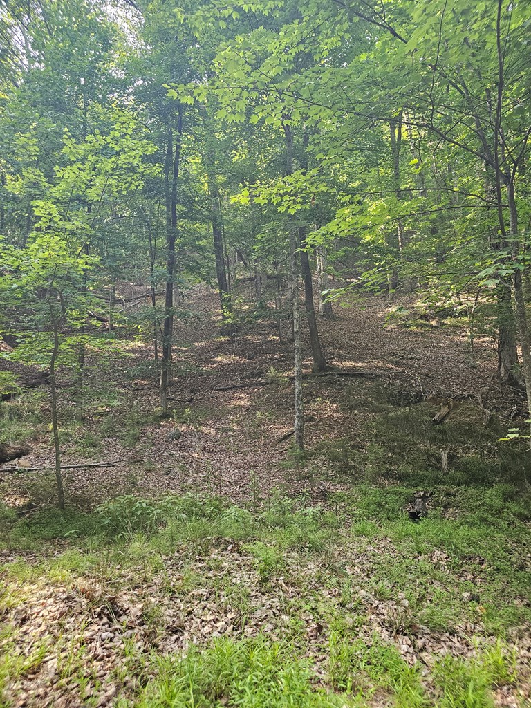 432842 Jasper
 Land