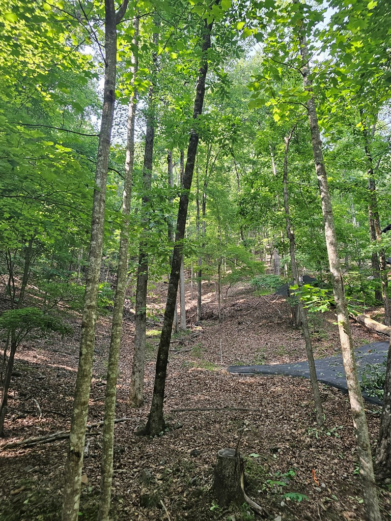 432842 Jasper
 Land