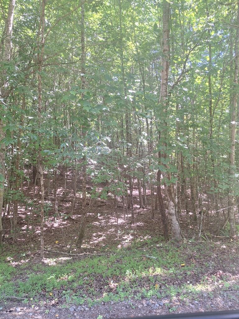 432843  Land