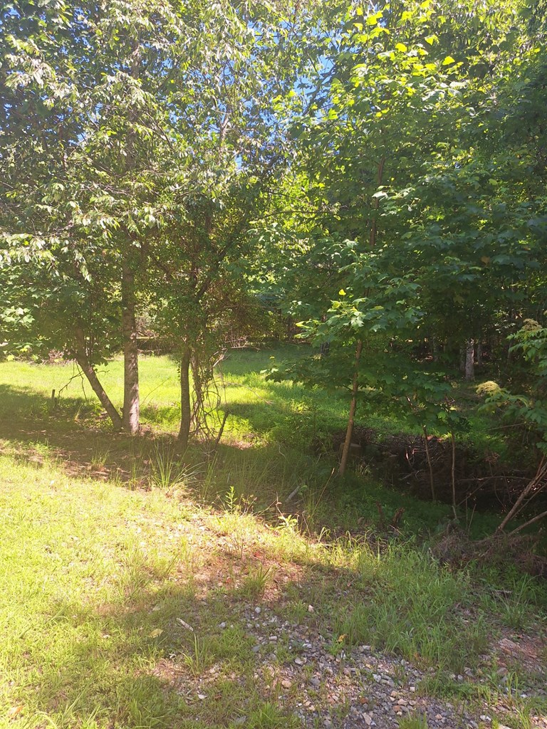 432843 Morganton
 Land
