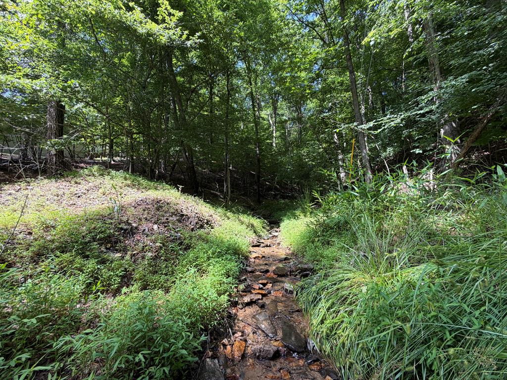 432845 Ellijay
 Land