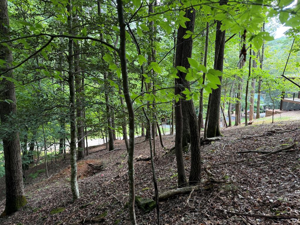 432845 Ellijay
 Land