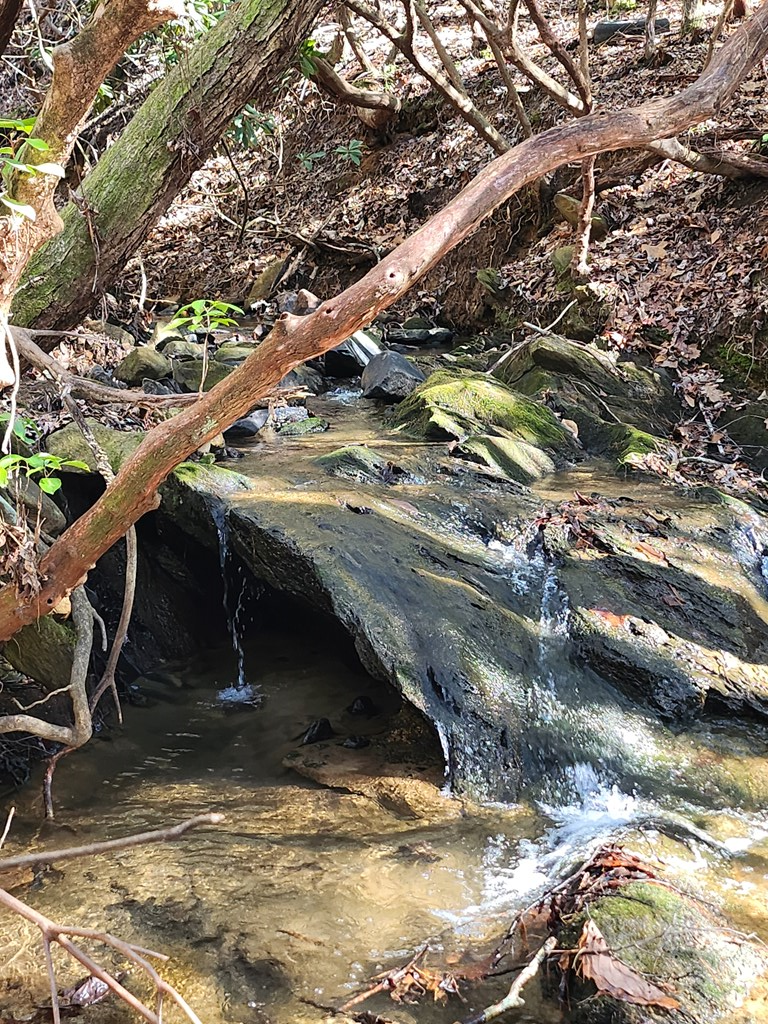 432846 Morganton
 Land