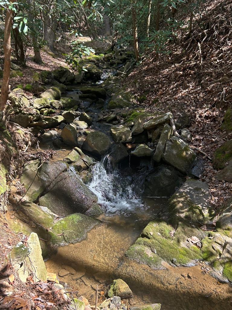 432846 Morganton
 Land