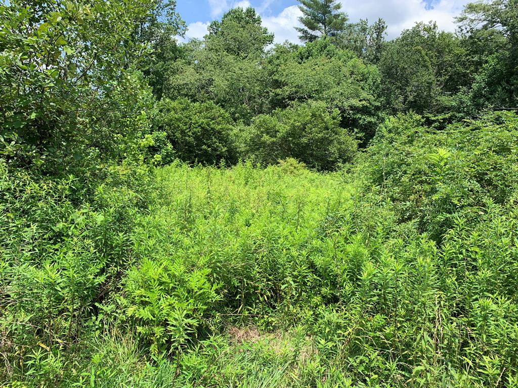 432848  Land
