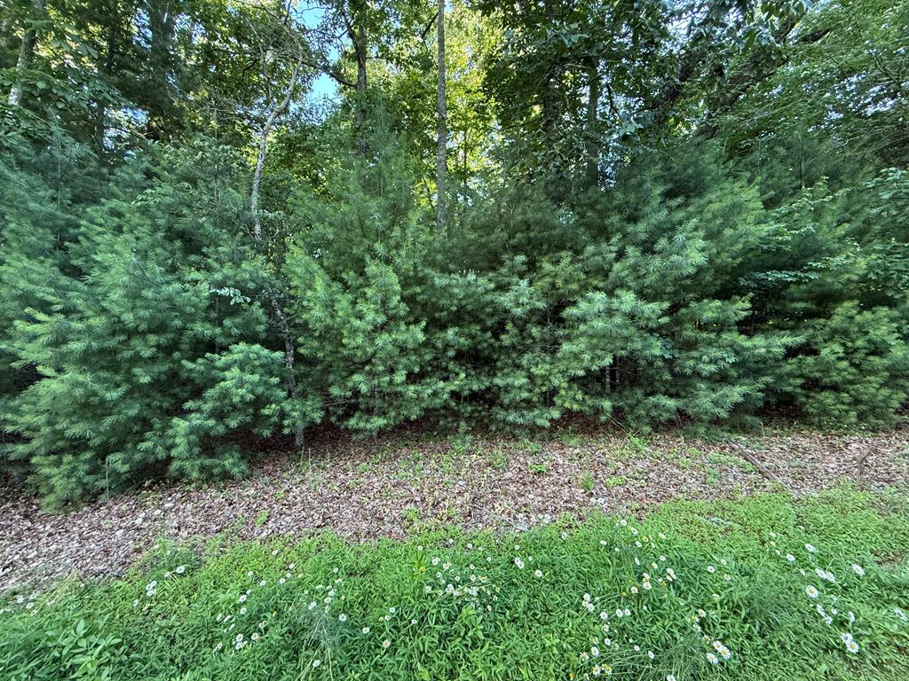 432854  Land