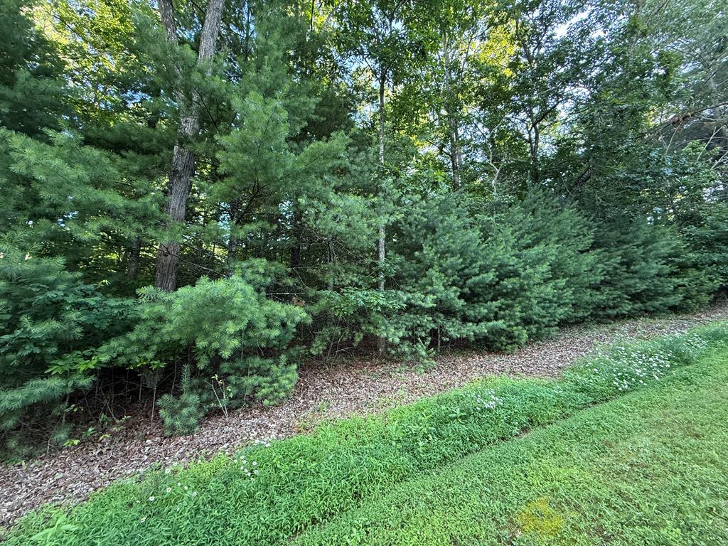 432854 Blairsville
 Land
