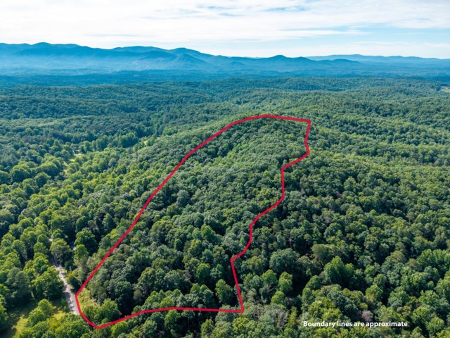 432874 Ellijay
 Land