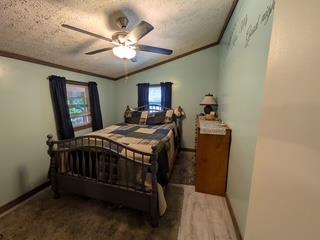 432886 Hiawassee Active