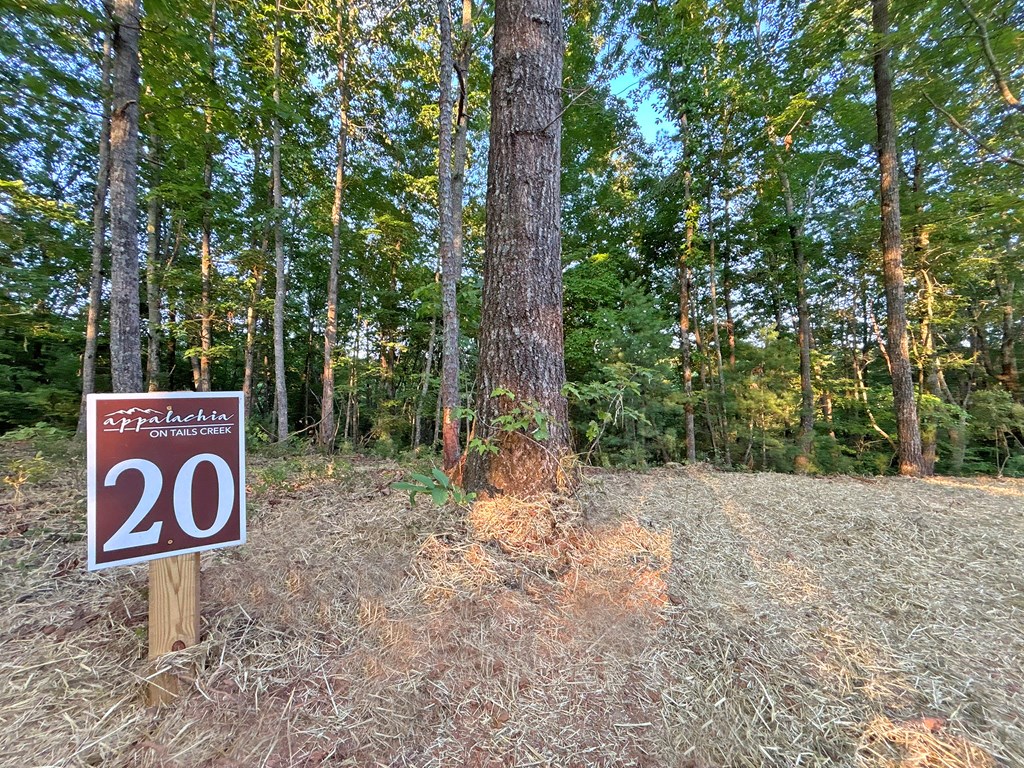 432893 Ellijay
 Land