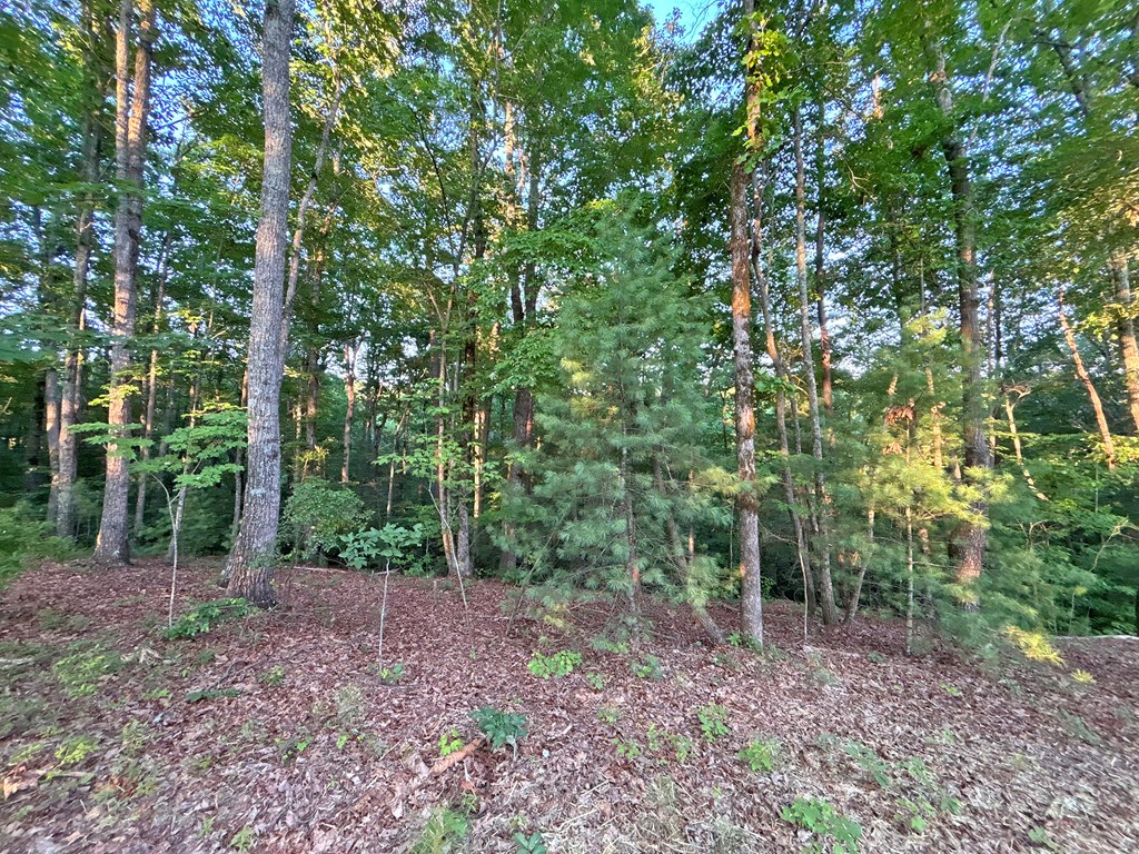 432893 Ellijay
 Land
