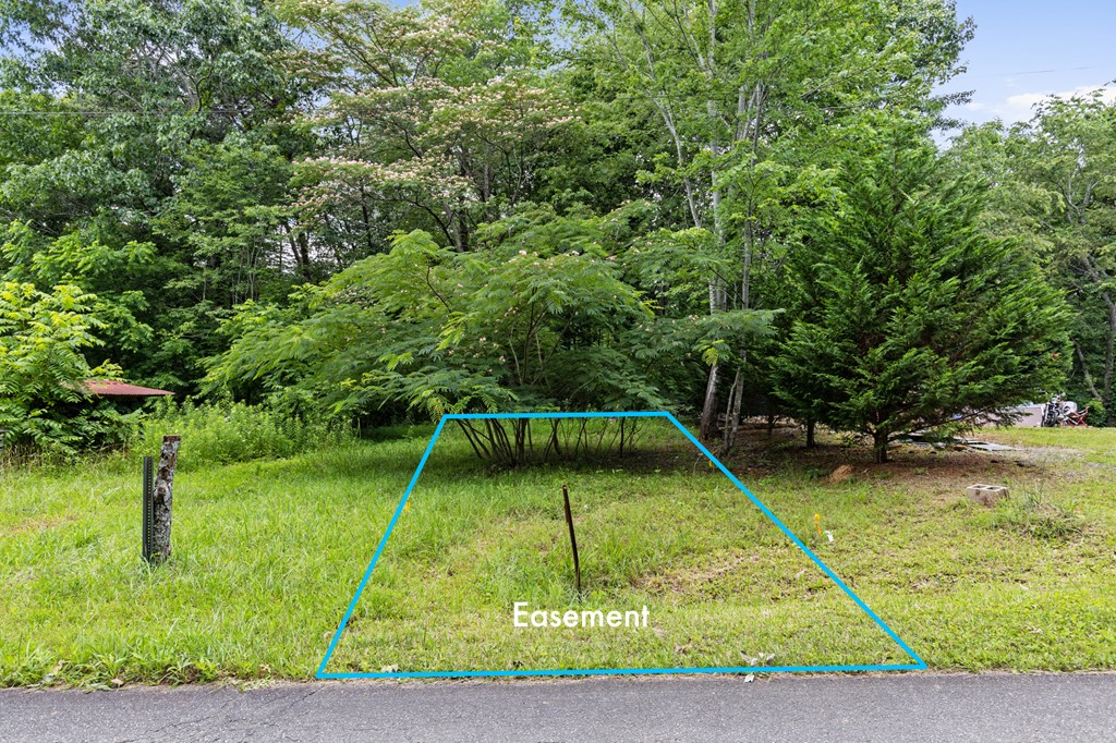 432896 McCaysville
 Land