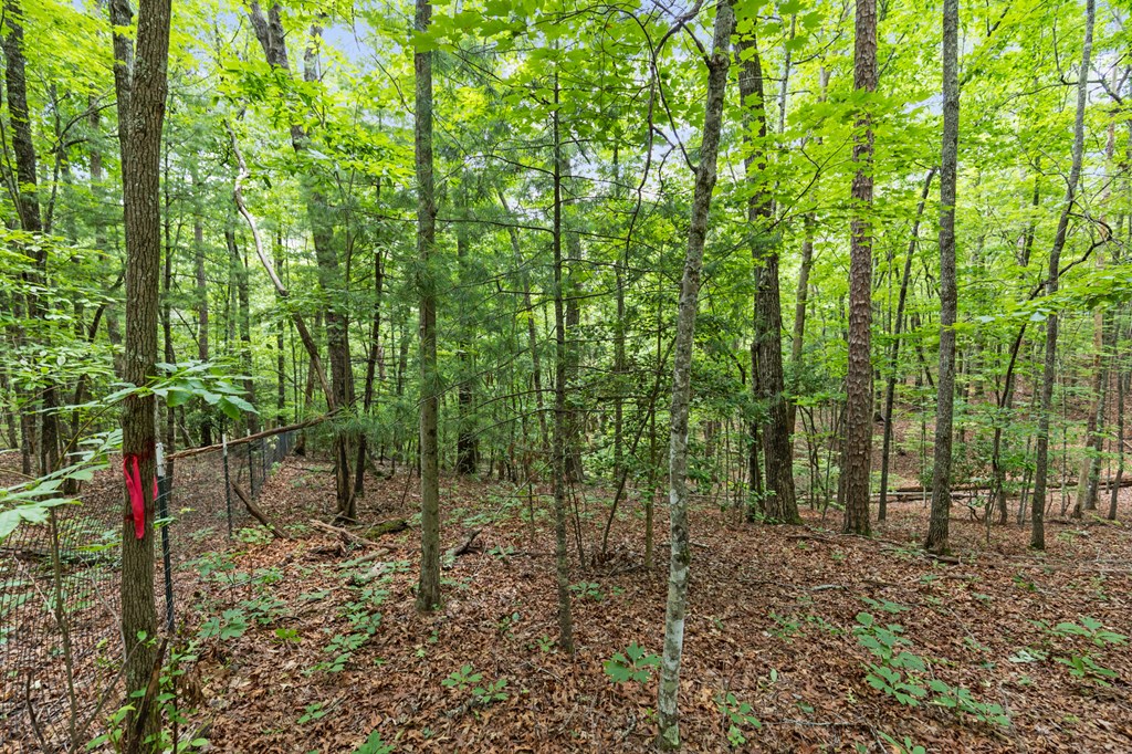 432896 McCaysville
 Land