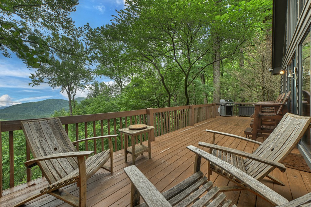 432898 Ellijay Active