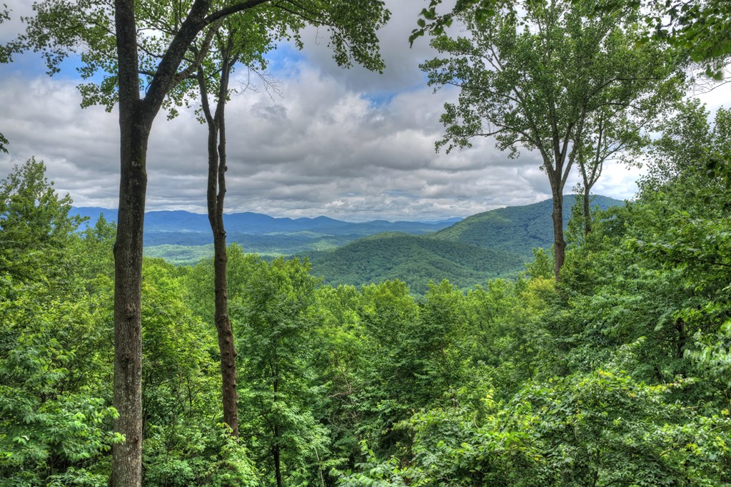 432898 Ellijay Active