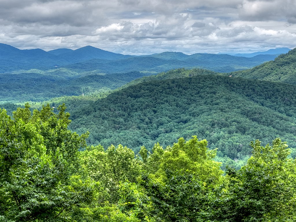 432898 Ellijay Active