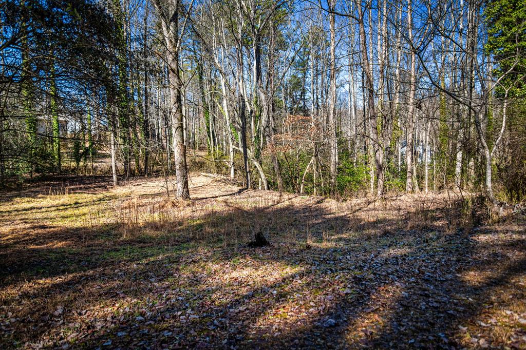 432904 Blairsville
 Land