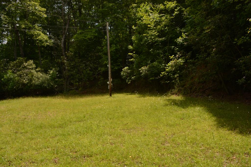 432911  Land
