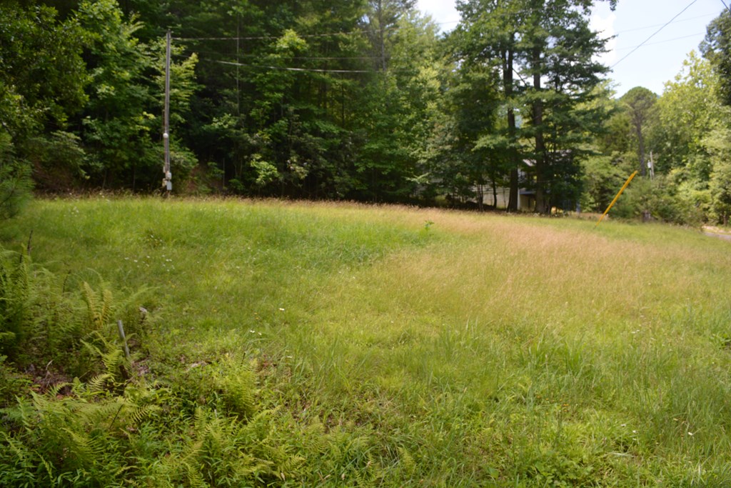 432911 Hiawassee
 Land