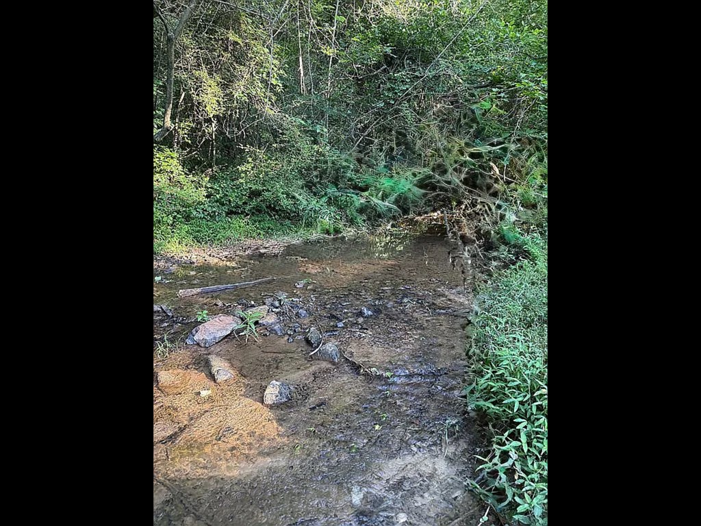 432914 Ellijay Active