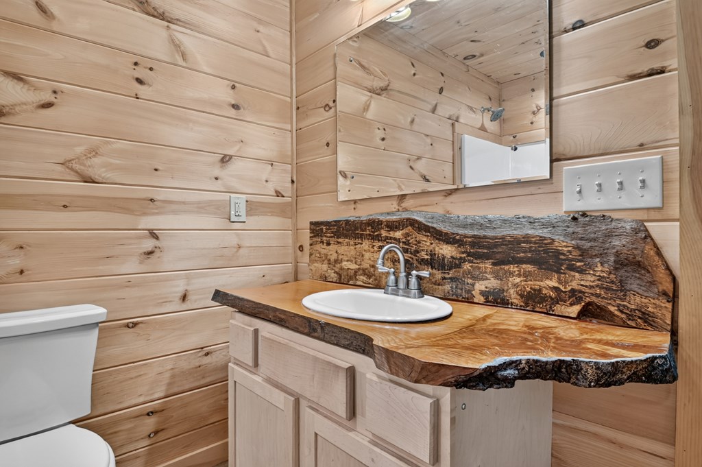 432917 Mineral Bluff Active