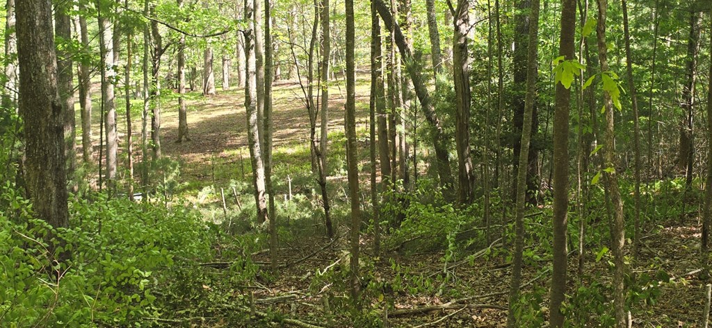 433923 Morganton
 Land