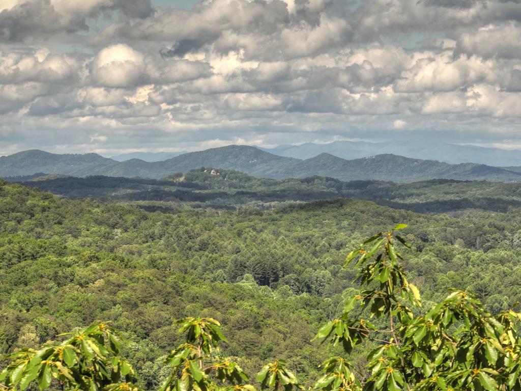 433928  Land