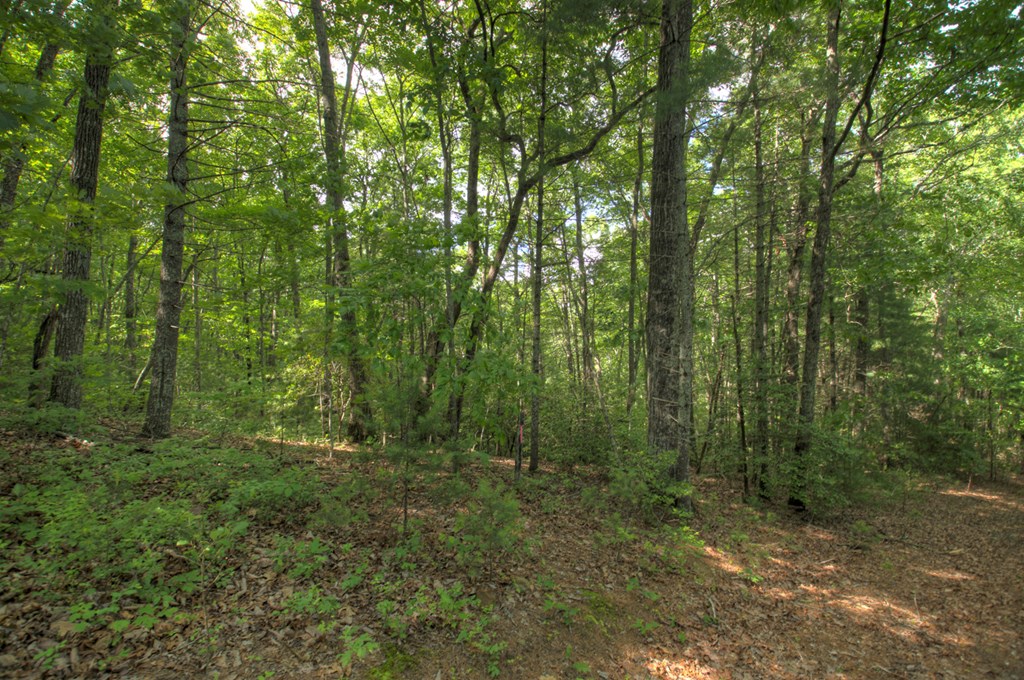 433928 Epworth
 Land