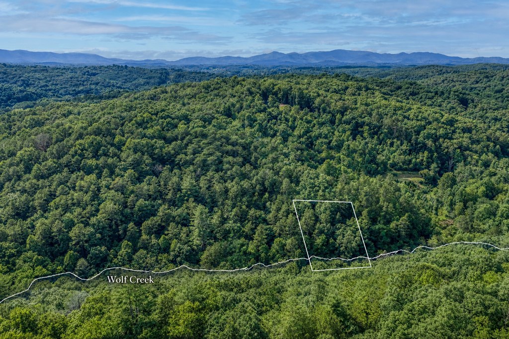 433931 Mineral Bluff
 Land