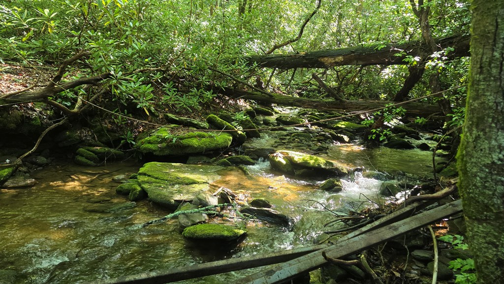 433940 Hiawassee
 Land