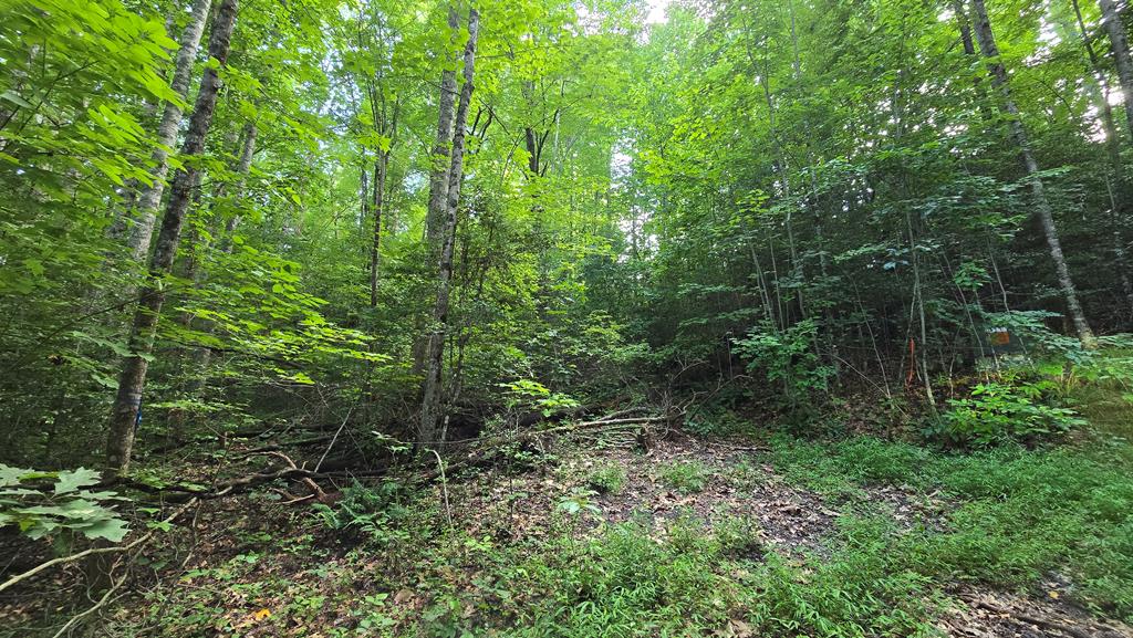433941  Land