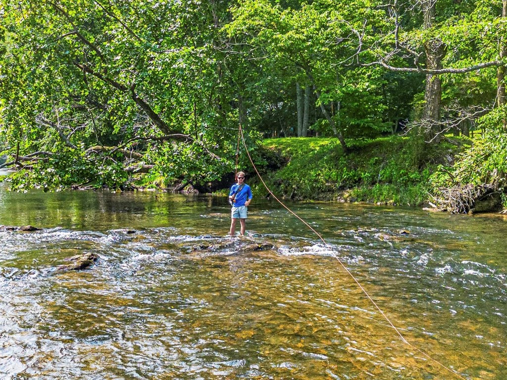 433943 Blue Ridge Active