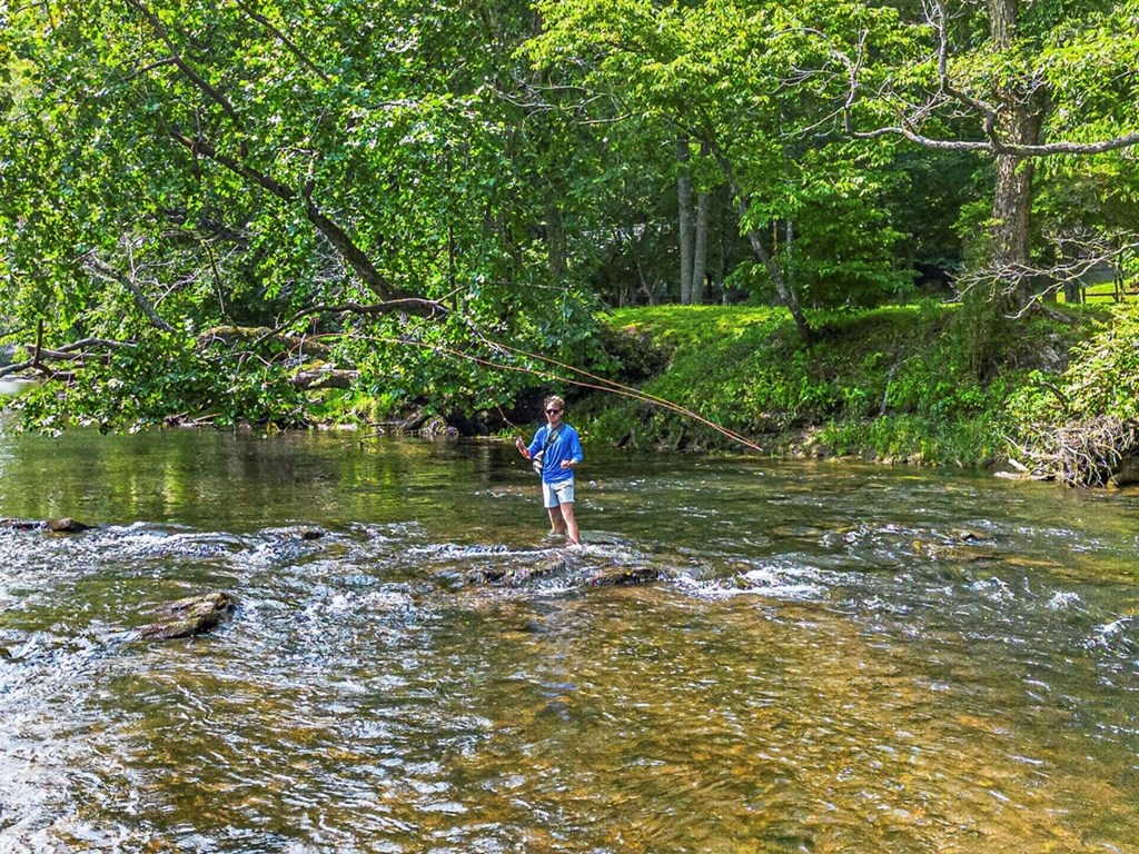 433943 Blue Ridge Active