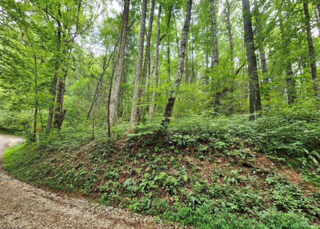 433949 Suches
 Land