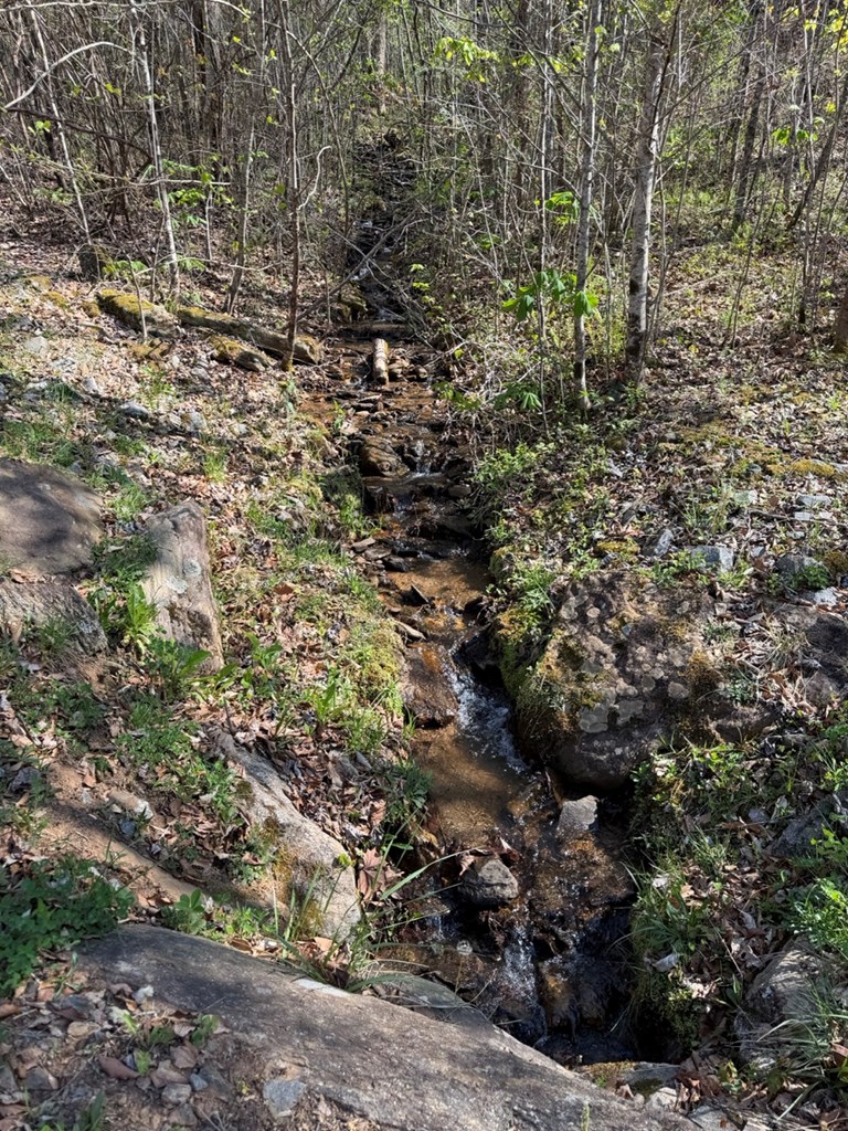 433954 Hayesville
 Land