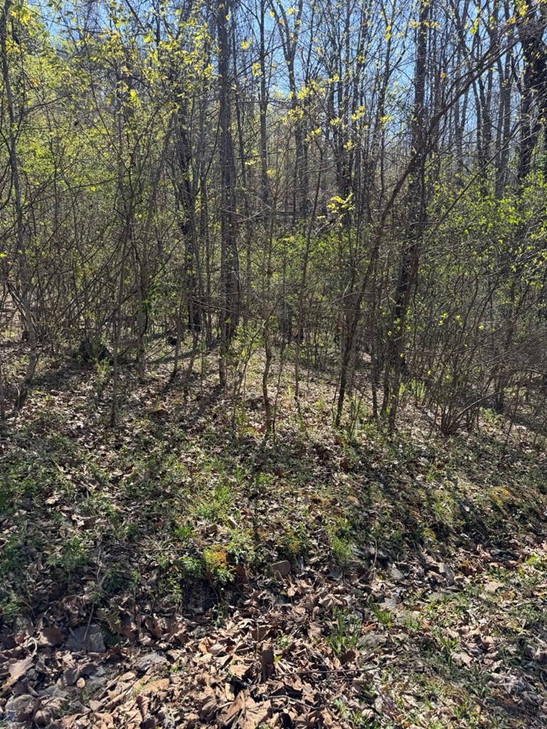 433954 Hayesville
 Land