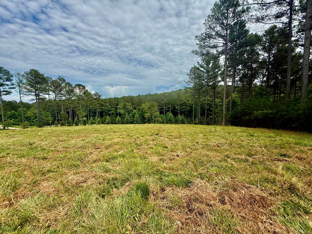 433961  Land