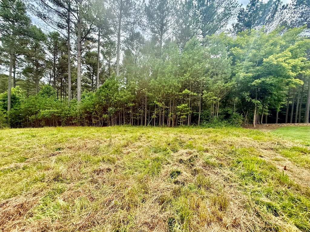 433961 Blairsville
 Land