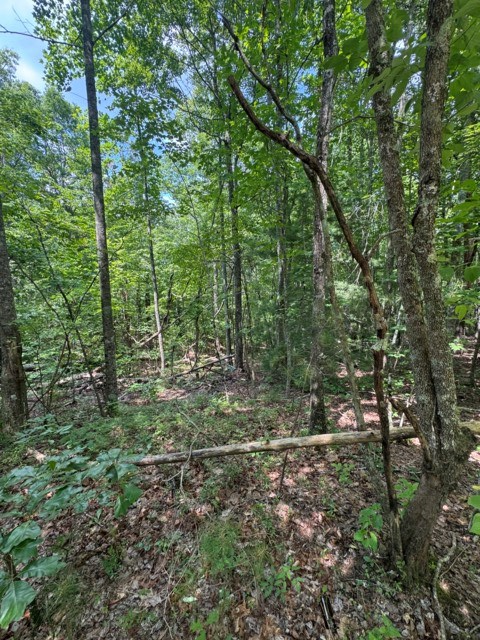 433967 Ellijay
 Land