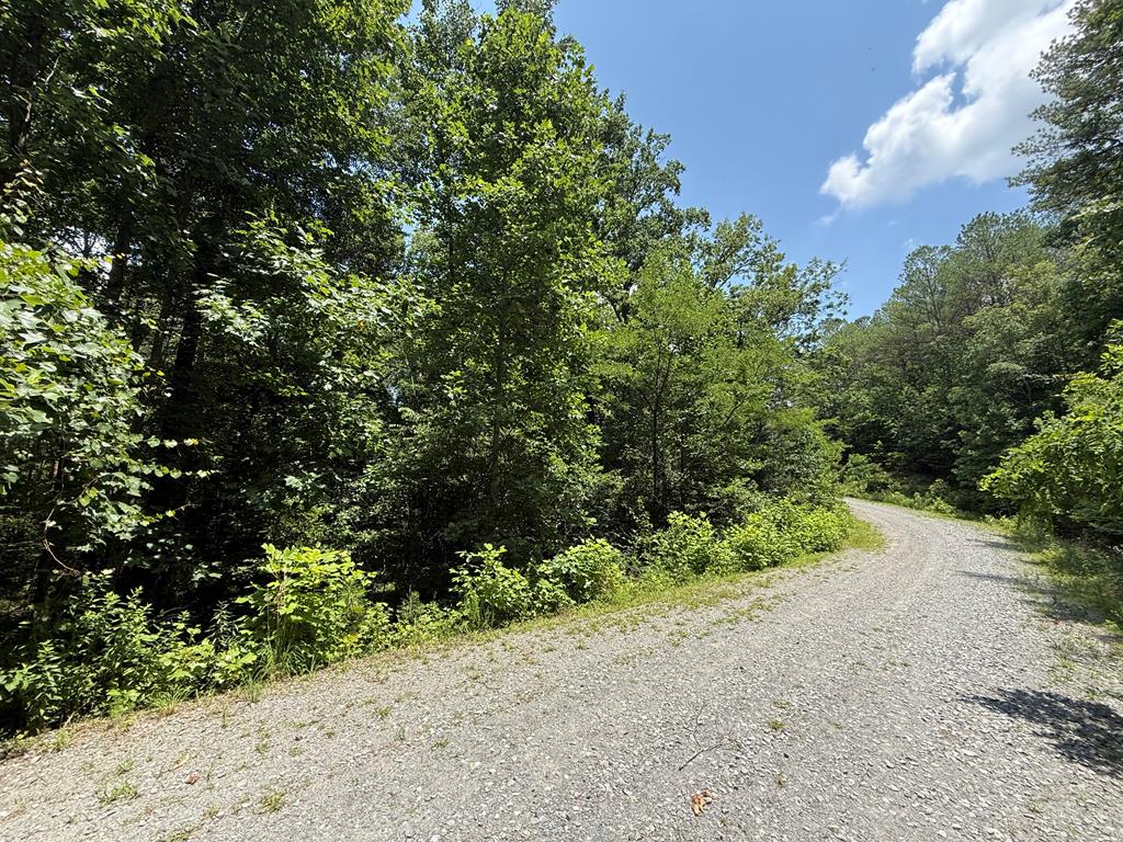 433970  Land
