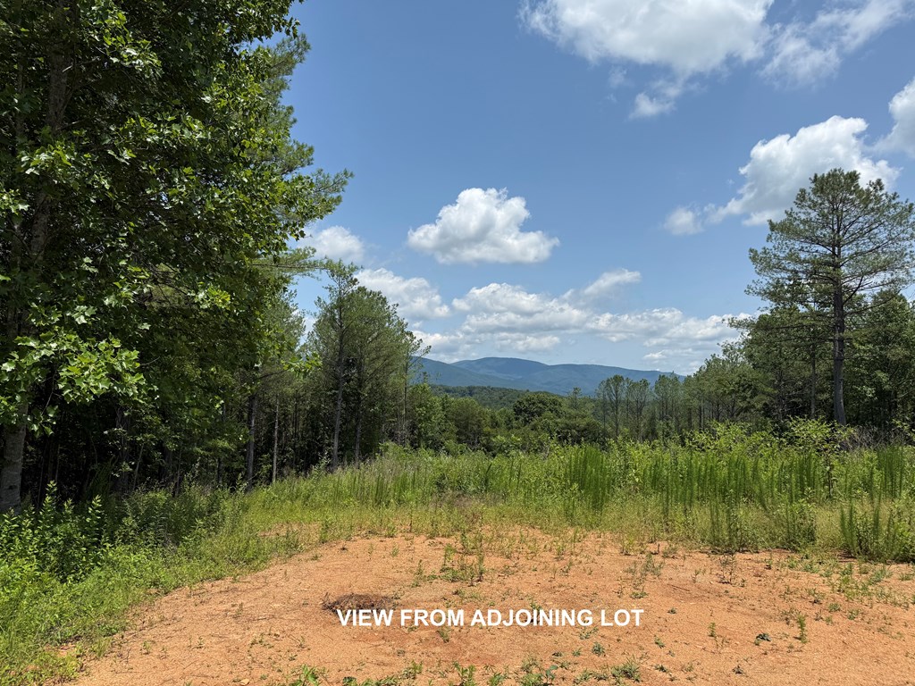 433970 Ellijay
 Land
