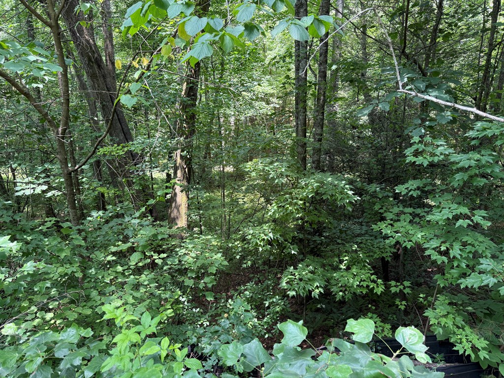 433970 Ellijay
 Land
