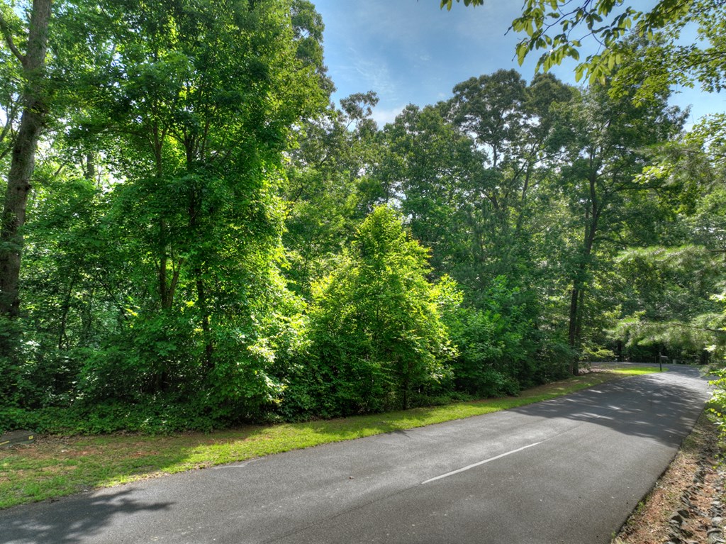 433974 Ellijay
 Land